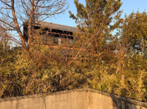 松阪市東久保町、中古一戸建ての外観画像です