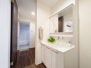 春日市春日、新築一戸建ての洗面画像です