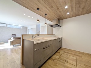 糟屋郡粕屋町原町、新築一戸建てのキッチン画像です