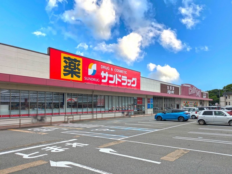 糟屋郡志免町片峰中央、中古一戸建てのドラッグストア画像です