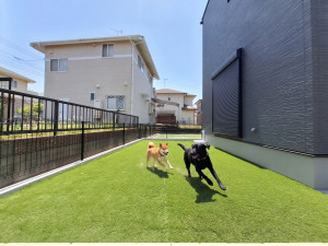 福津市西福間、新築一戸建ての外観画像です
