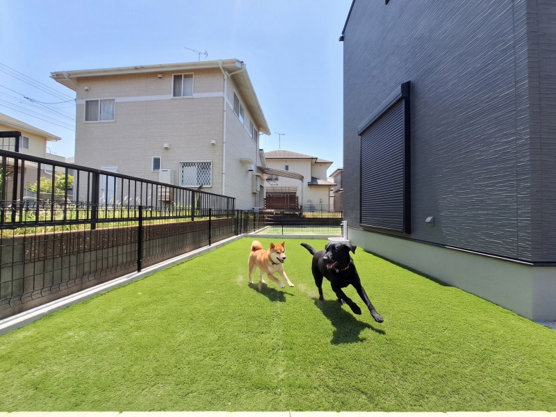 福津市西福間、新築一戸建ての外観画像です
