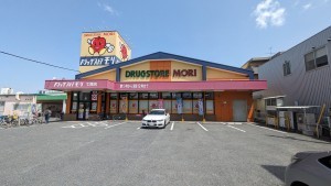 福岡市早良区飯倉、新築一戸建てのドラッグストア画像です