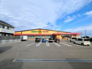 神埼市神埼町本堀、新築一戸建てのドラッグストア画像です