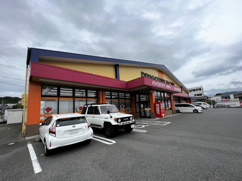 筑紫野市大字筑紫、新築一戸建てのドラッグストア画像です