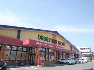 筑紫野市大字筑紫、新築一戸建てのドラッグストア画像です