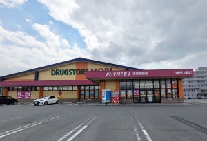 朝倉郡筑前町東小田、新築一戸建てのドラッグストア画像です