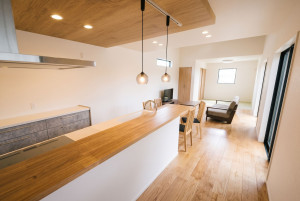 柳川市三橋町蒲船津、新築一戸建ての居間画像です