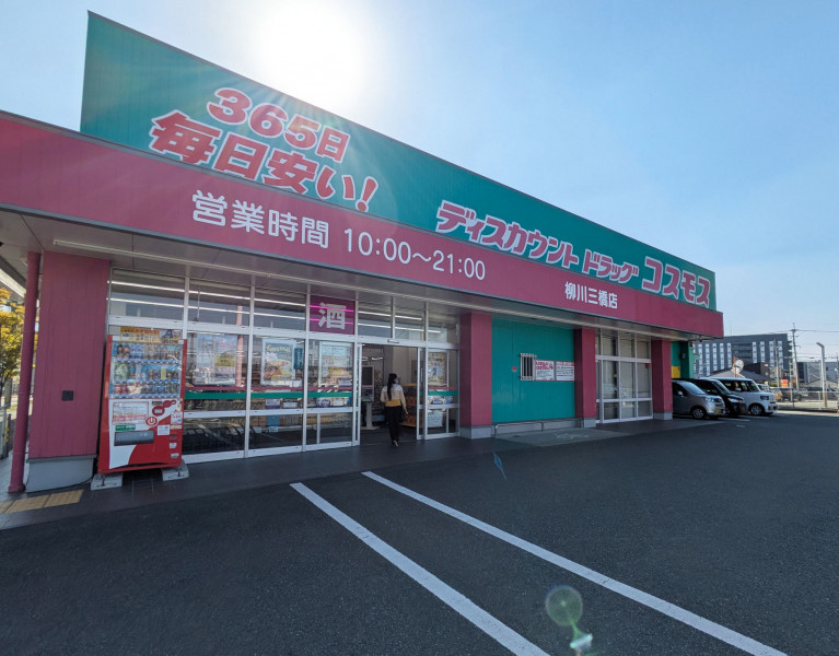柳川市三橋町蒲船津、新築一戸建てのドラッグストア画像です