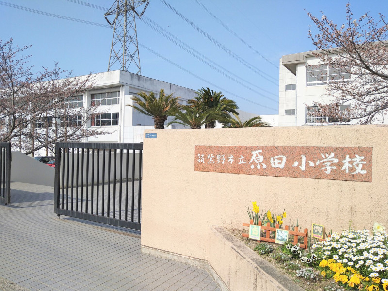 筑紫野市原田、新築一戸建ての小学校画像です