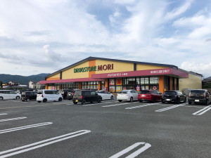 神埼郡吉野ヶ里町立野、新築一戸建てのドラッグストア画像です