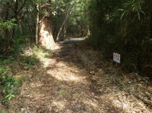 刈谷市東境町山之田の土地の画像です