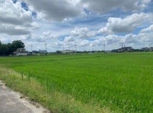 刈谷市東境町丸山の土地の画像です