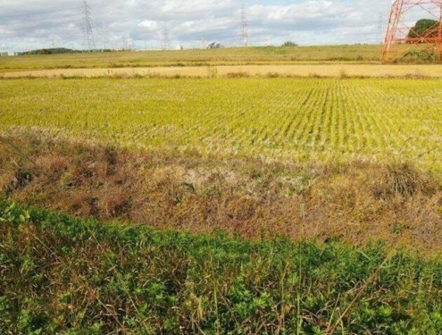 刈谷市今川町曽根、土地の外観画像です