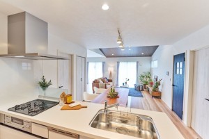 刈谷市野田町北菰神の一戸建ての画像です