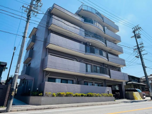 刈谷市板倉町３丁目のマンションの画像です