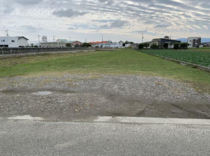 徳島市川内町沖島の土地の画像です