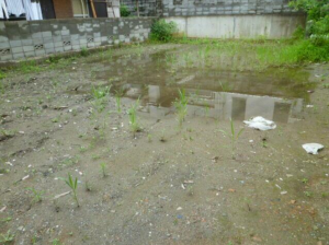 徳島市昭和町３丁目の土地の画像です