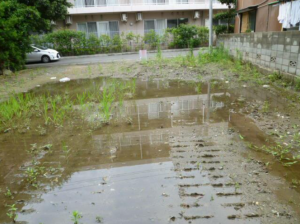 徳島市昭和町３丁目の土地の画像です