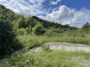 徳島市大原町籠の土地の画像です