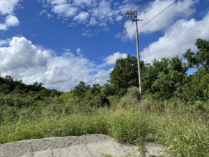 徳島市大原町籠の土地の画像です