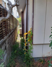 徳島市八万町内浜の土地の画像です