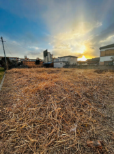 徳島市応神町中原字宮ノ東の土地の画像です