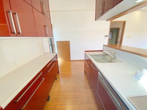 徳島市八万町橋本の一戸建ての画像です