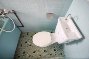 徳島市助任本町1丁目の収益物件の画像です