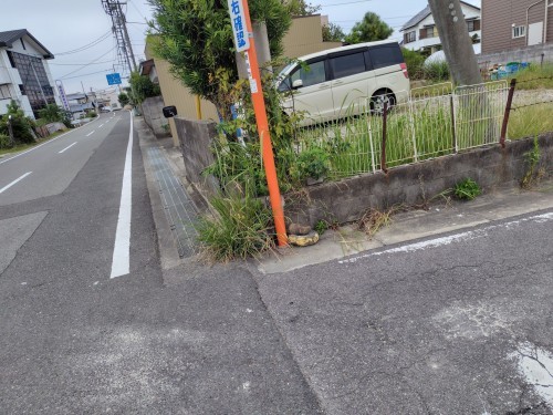 徳島市川内町沖島の土地の画像です