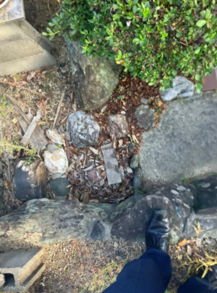 徳島市川内町榎瀬の収益物件の画像です