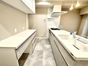 徳島市川内町大松のマンションの画像です