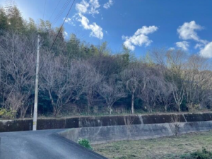 徳島市勝占町中山の一戸建ての画像です