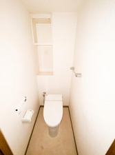 徳島市川内町大松のマンションの画像です