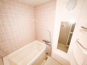 徳島市川内町大松のマンションの画像です