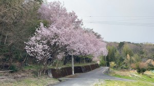 徳島市勝占町中山の一戸建ての画像です