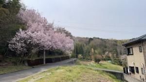 徳島市勝占町中山の一戸建ての画像です