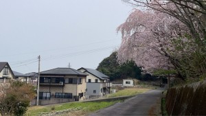 徳島市勝占町中山の一戸建ての画像です