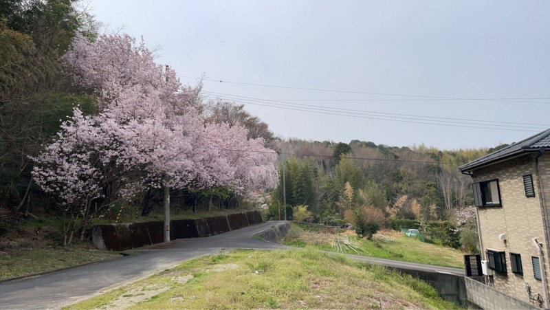 徳島市勝占町中山の一戸建ての画像です