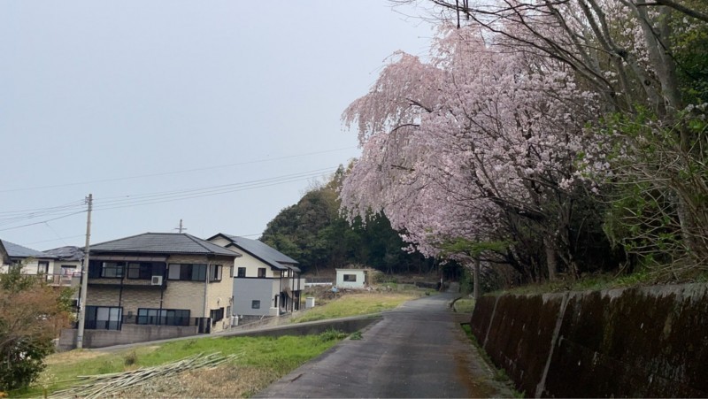 徳島市勝占町中山の一戸建ての画像です
