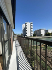 徳島市住吉6丁目の一戸建ての画像です