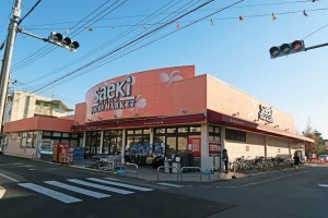 武蔵村山市大南、土地のスーパー画像です