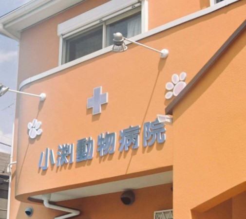 武蔵村山市大南、土地の病院画像です