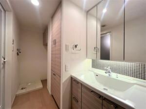 武蔵村山市伊奈平、マンションの洗面画像です