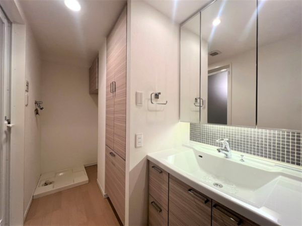 武蔵村山市伊奈平、マンションの洗面画像です