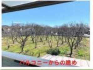 桶川市、中古一戸建ての周辺画像画像です