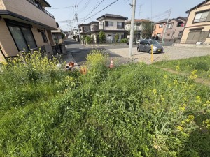 桶川市上日出谷南、土地の画像です