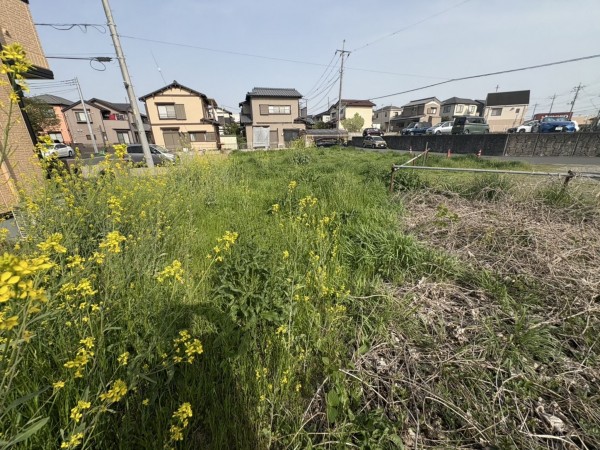 桶川市上日出谷南、土地の画像です