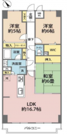 北本市朝日、マンションの間取り画像です