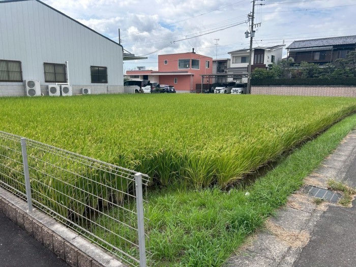 あま市森、土地の画像です